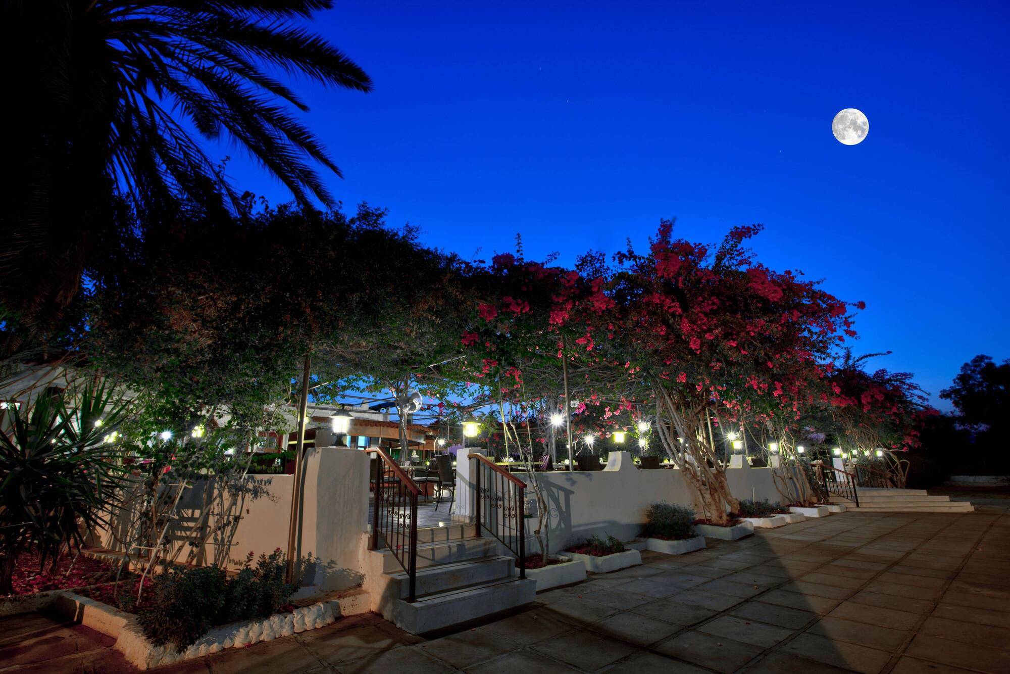 Merit Cyprus Gardens Holiday ファマグスタ エクステリア 写真